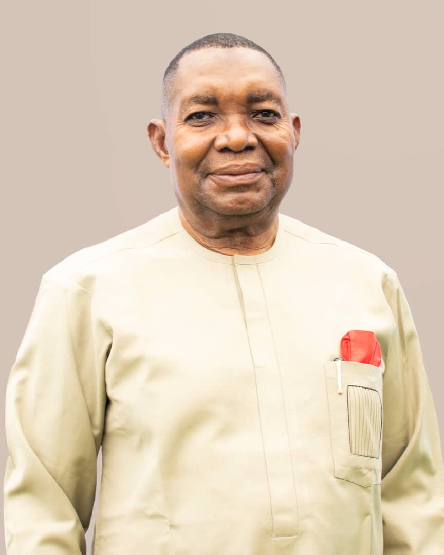 Engr. Fidelis Nwibo Nwankwo - Non-Executive Director